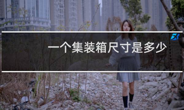 一个集装箱尺寸是多少