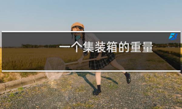 一个集装箱的重量