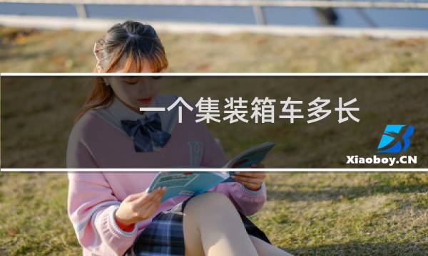 一个集装箱车多长