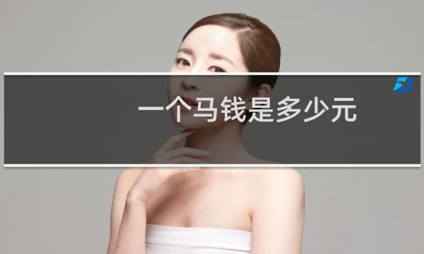 一个马钱是多少元