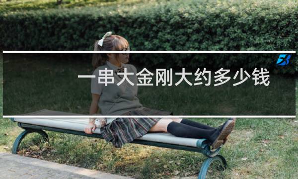 一串大金刚大约多少钱