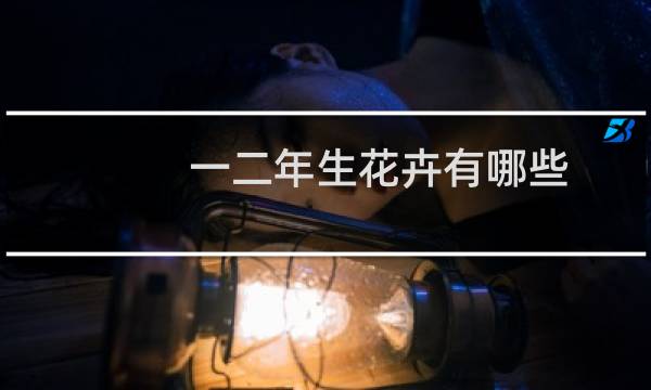 一二年生花卉有哪些
