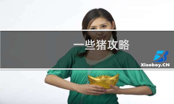一些猪攻略