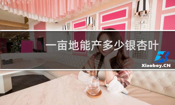 一亩地能产多少银杏叶