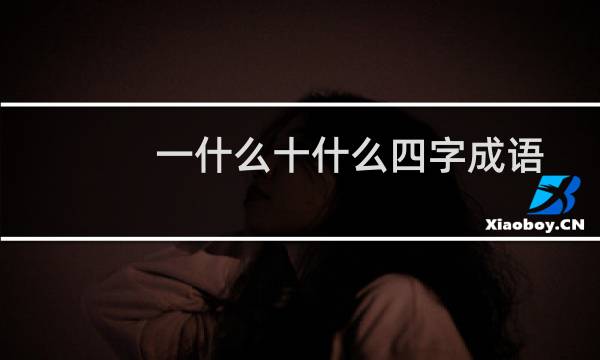 一什么十什么四字成语