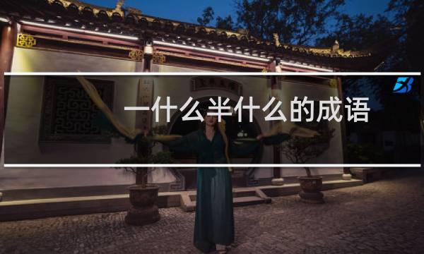 一什么半什么的成语