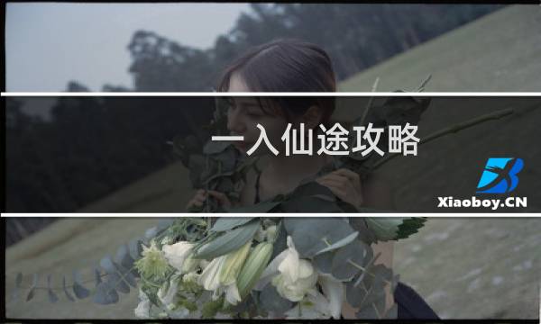 一入仙途攻略