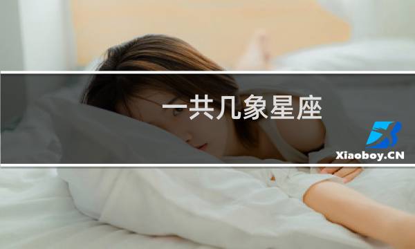 一共几象星座