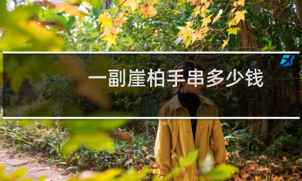 一副崖柏手串多少钱