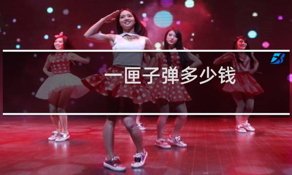 一匣子弹多少钱