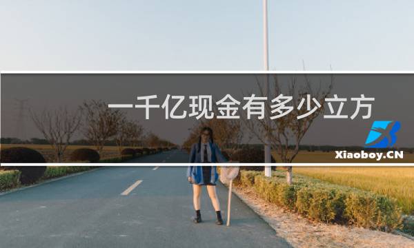一千亿现金有多少立方
