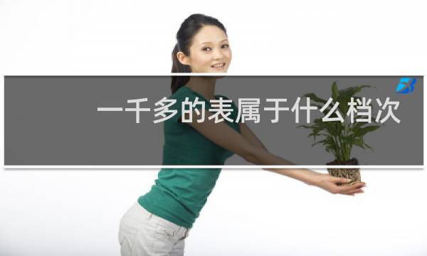 一千多的表属于什么档次