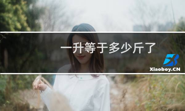 一升等于多少斤了