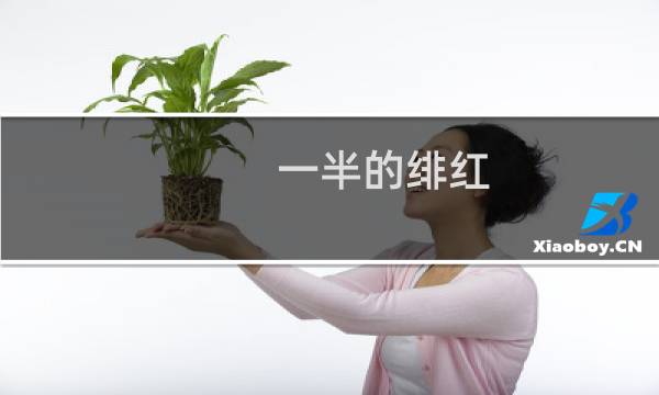 一半的绯红 攻略
