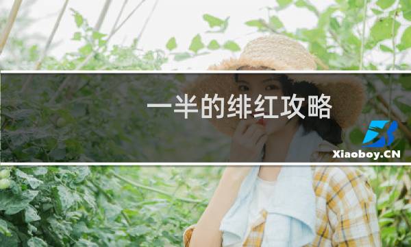 一半的绯红攻略