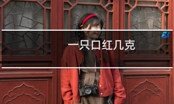 一只口红几克
