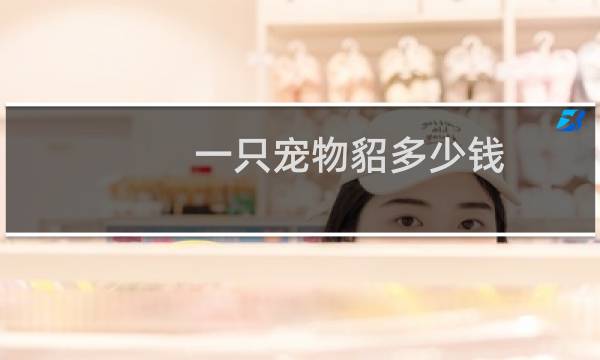 一只宠物貂多少钱