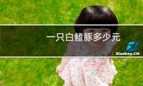 一只白鳍豚多少元