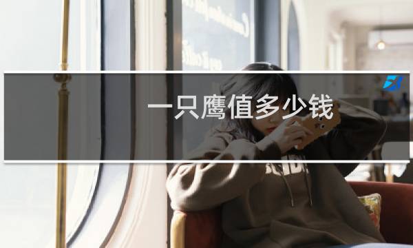 一只鹰值多少钱