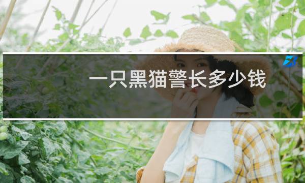 一只黑猫警长多少钱