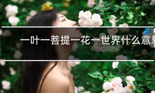 一叶一菩提一花一世界什么意思