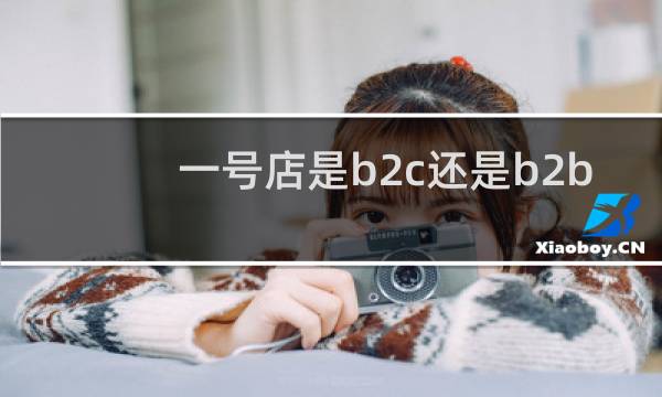 一号店是b2c还是b2b