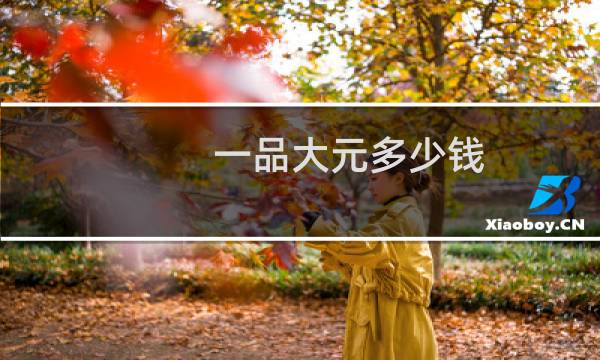 一品大元多少钱
