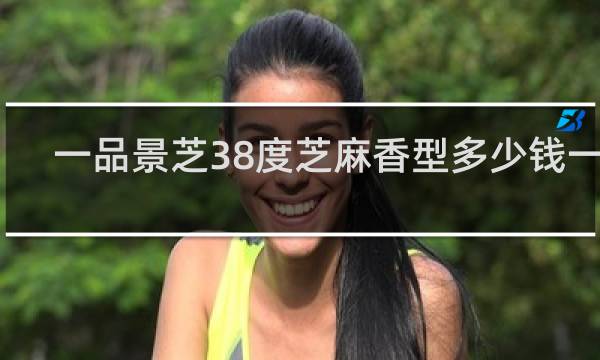 一品景芝38度芝麻香型多少钱一瓶