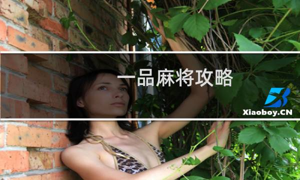 一品麻将攻略