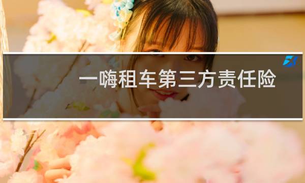 一嗨租车第三方责任险