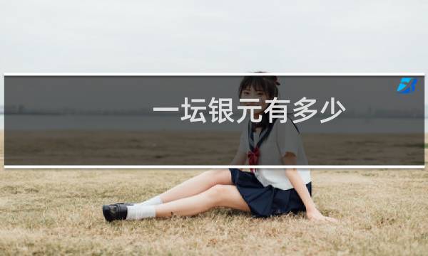 一坛银元有多少