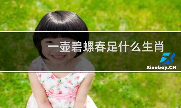 一壶碧螺春足什么生肖