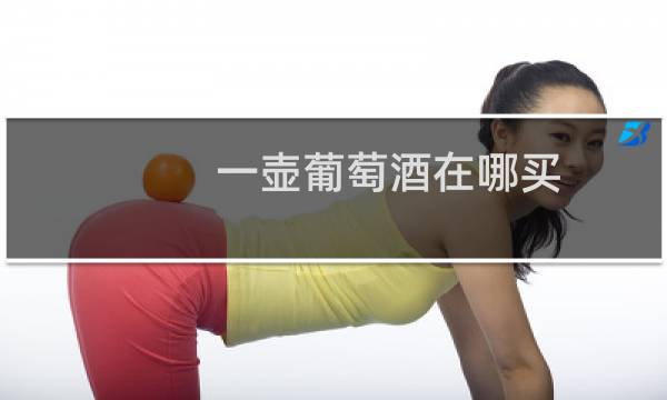 一壶葡萄酒在哪买