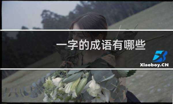 一字的成语有哪些