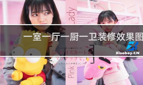 一室一厅一厨一卫装修效果图