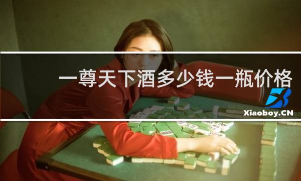 一尊天下酒多少钱一瓶价格