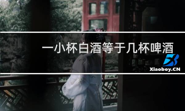 一小杯白酒等于几杯啤酒