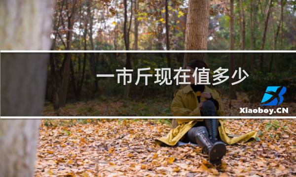 一市斤现在值多少