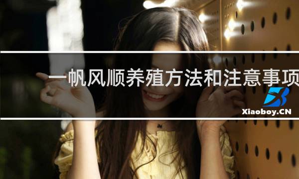 一帆风顺养殖方法和注意事项