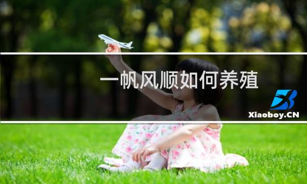 一帆风顺如何养殖