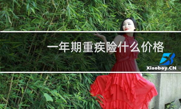 一年期重疾险什么价格