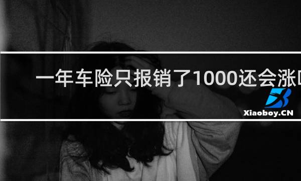 一年车险只报销了1000还会涨吗