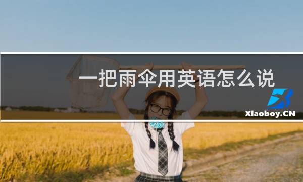 一把雨伞用英语怎么说