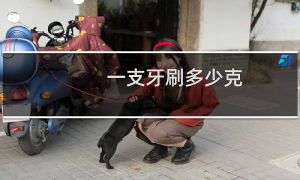 一支牙刷多少克