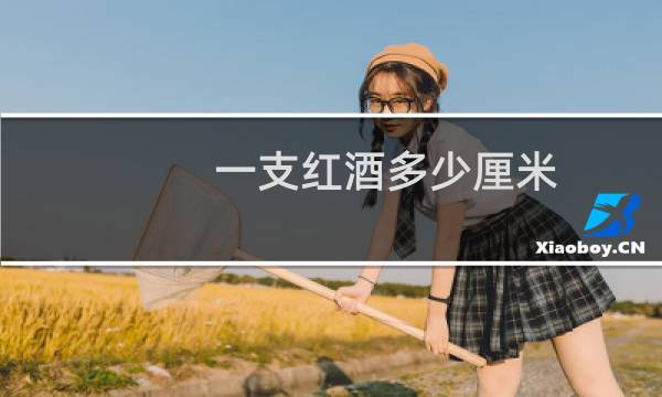 一支红酒多少厘米