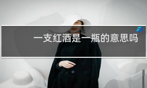 一支红酒是一瓶的意思吗