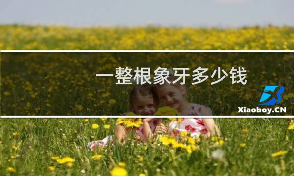 一整根象牙多少钱