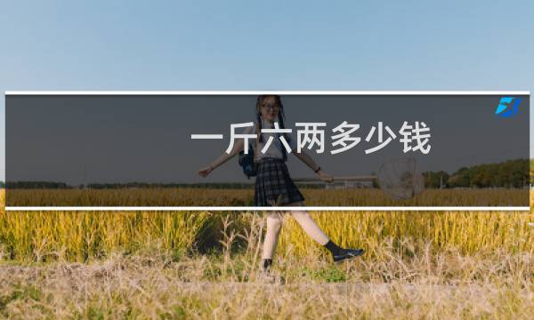 一斤六两多少钱