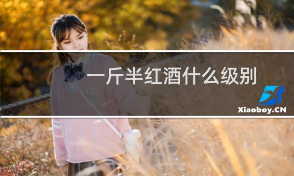 一斤半红酒什么级别