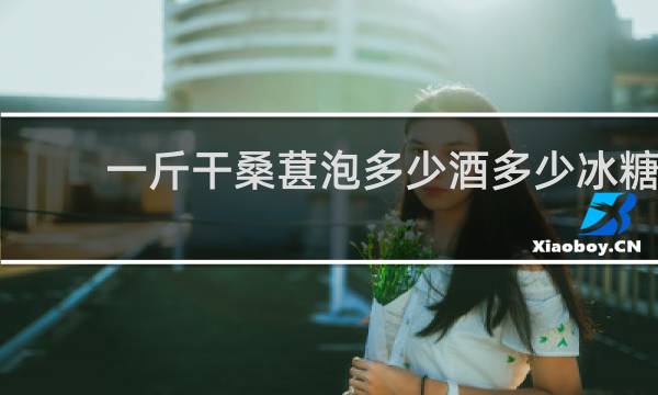 一斤干桑葚泡多少酒多少冰糖